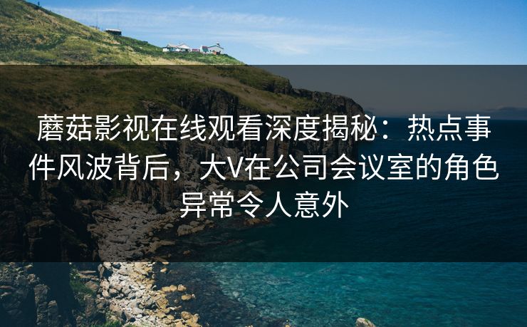 蘑菇影视在线观看深度揭秘：热点事件风波背后，大V在公司会议室的角色异常令人意外